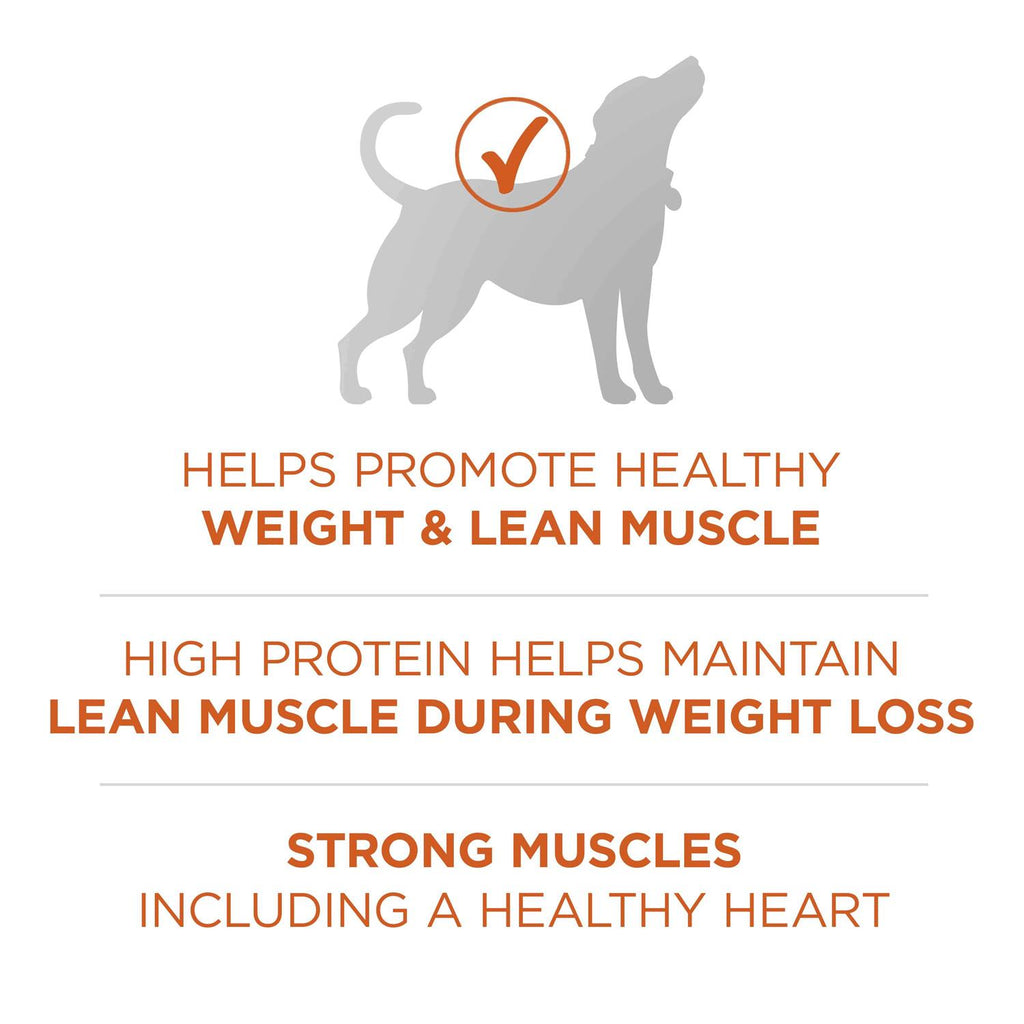 Healthy Weight High Protein Dry Dog Food M588225