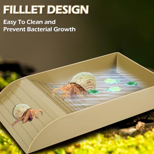 Reptile Water Bowl with Ramp and Basking Platform Z436483