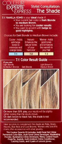 Toasted Coconut Home Hair Color and Highlights Kit C554965