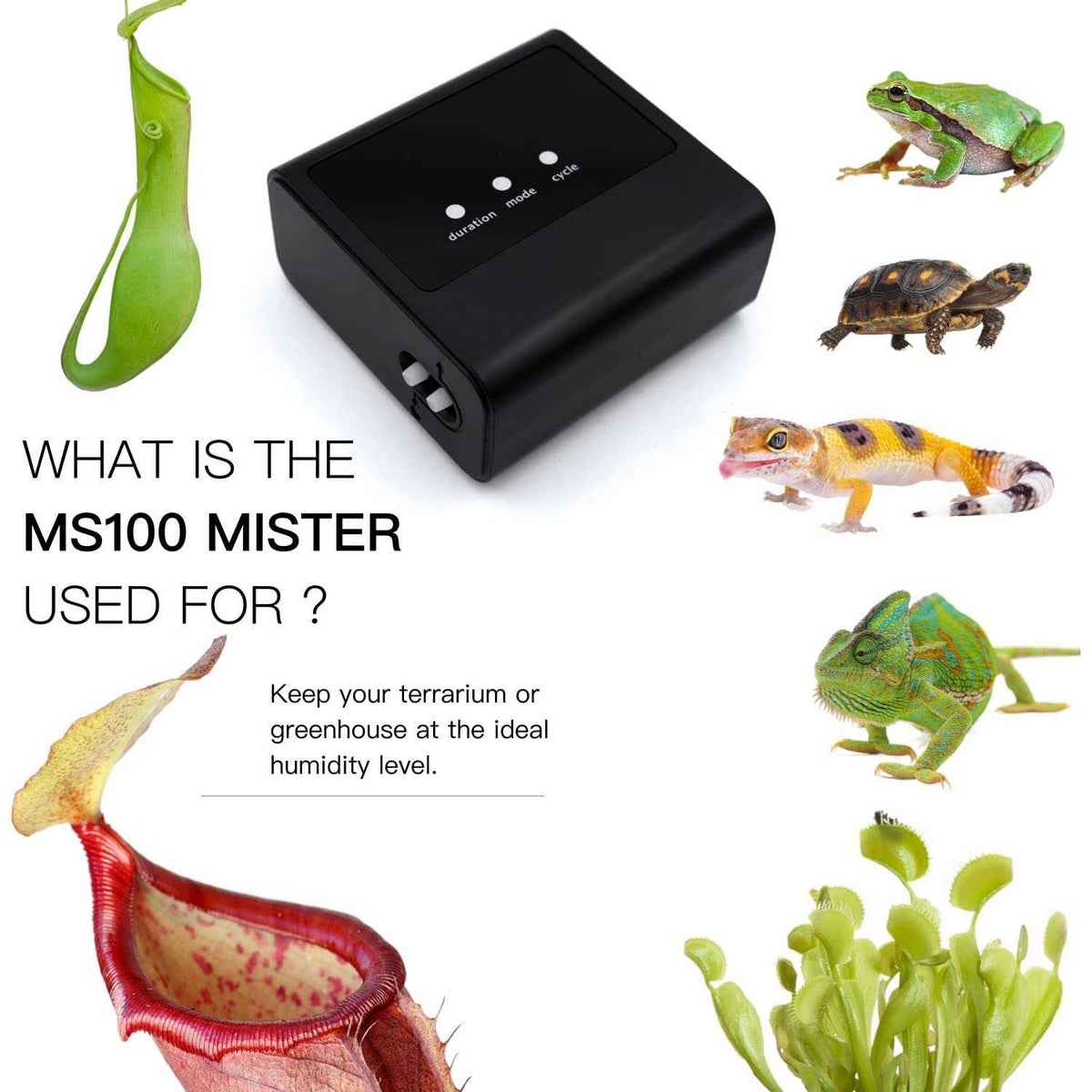 Reptile Mister Humidifier X799469
