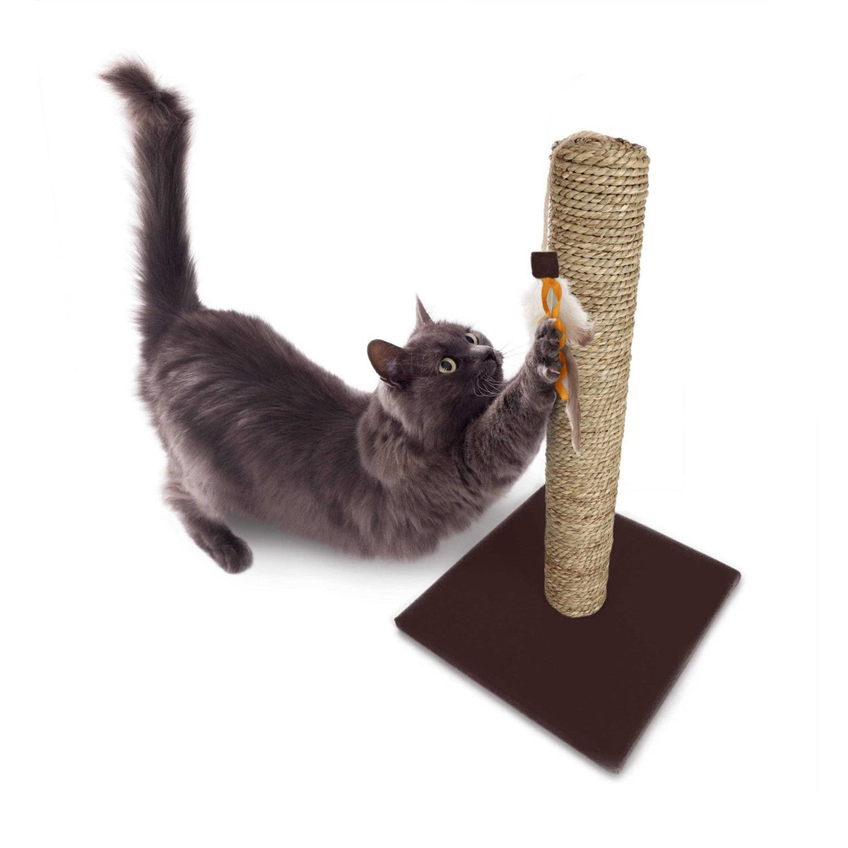 Cat Scratch Post with Feather Toy G566