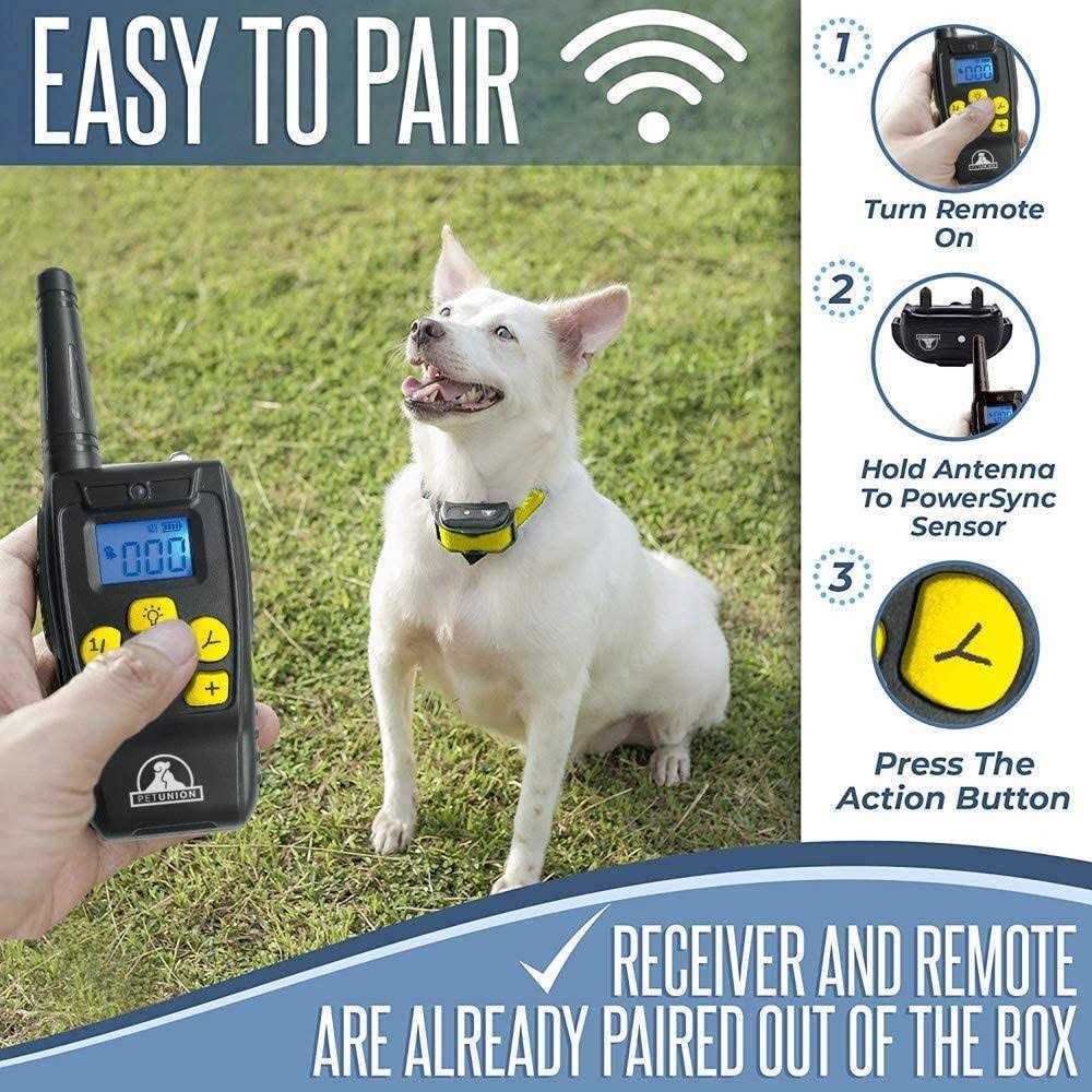 Dog Training Shock Collar with Remote G3684