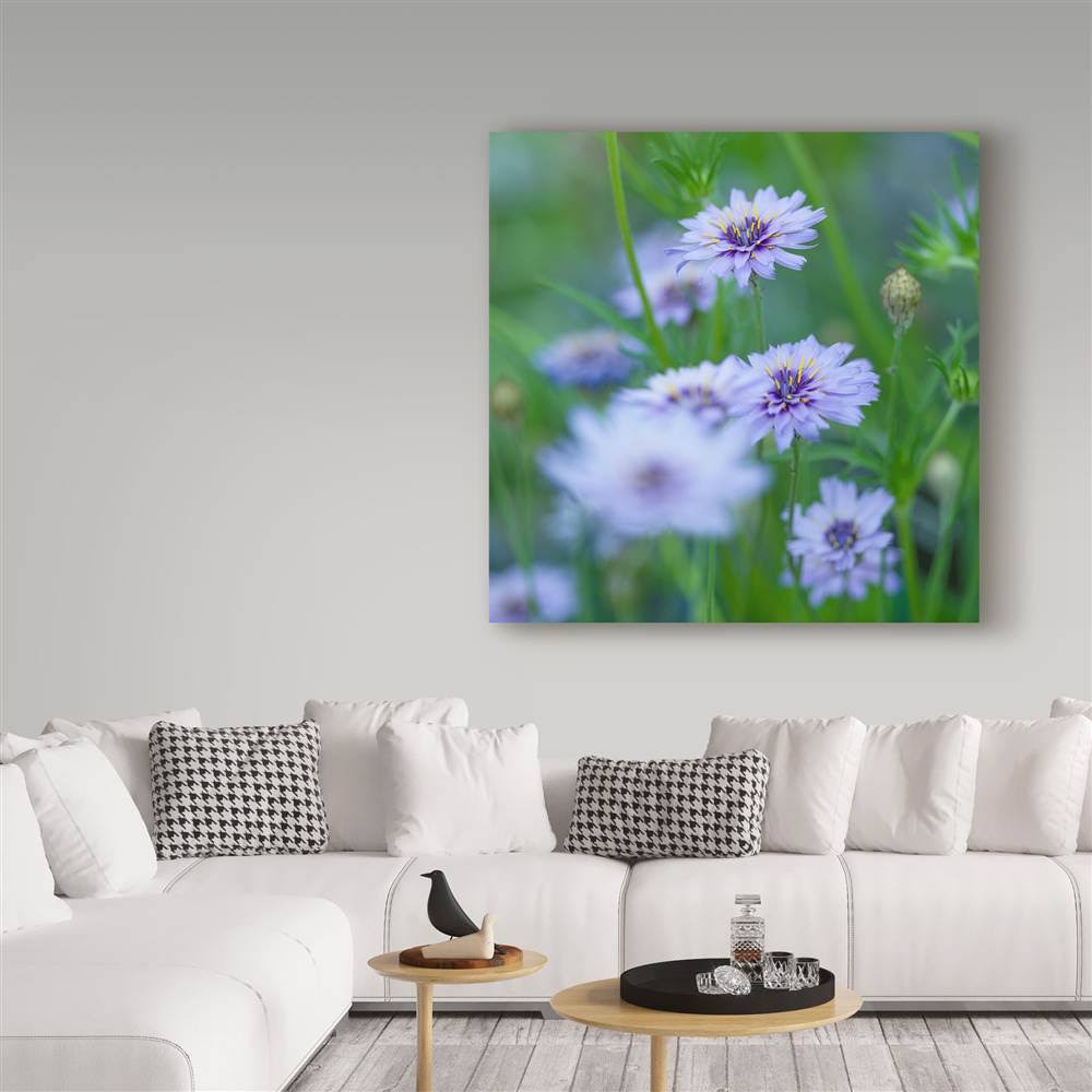 Canvas Art G3290