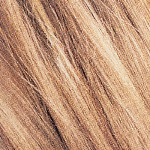 Toasted Coconut Home Hair Color and Highlights Kit C554965