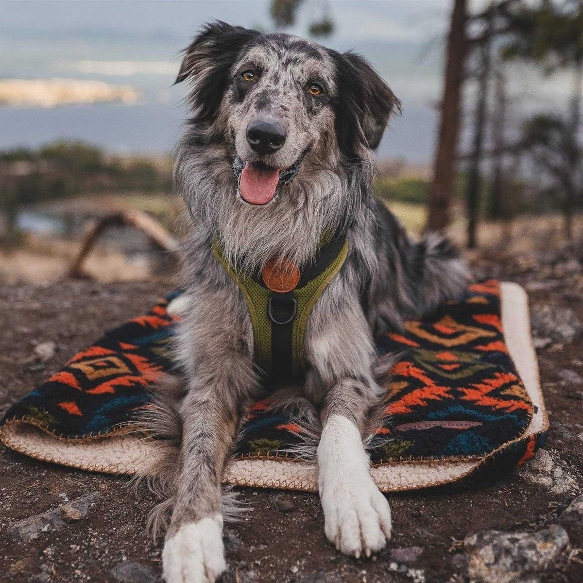 Sherpa Fleece Waterproof Blanket D2135