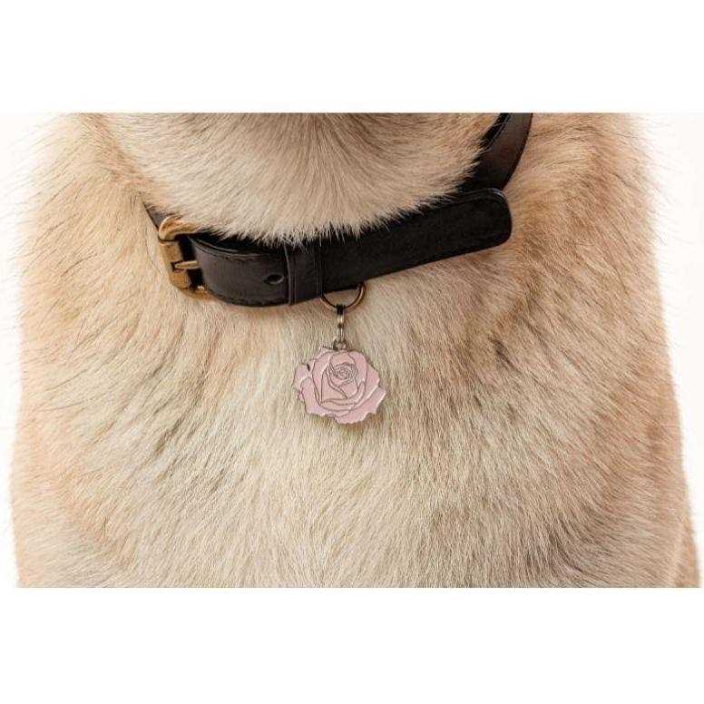 Rose Pet E276
