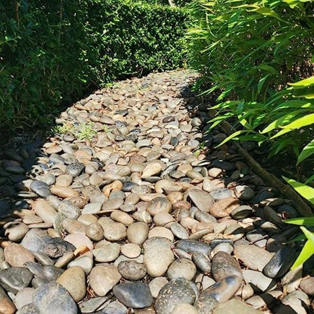 40lbs Natural River Rocks Smooth Stones W881