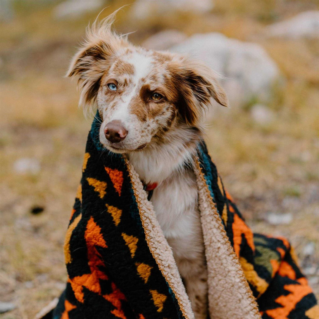 Sherpa Fleece Waterproof Blanket D2135