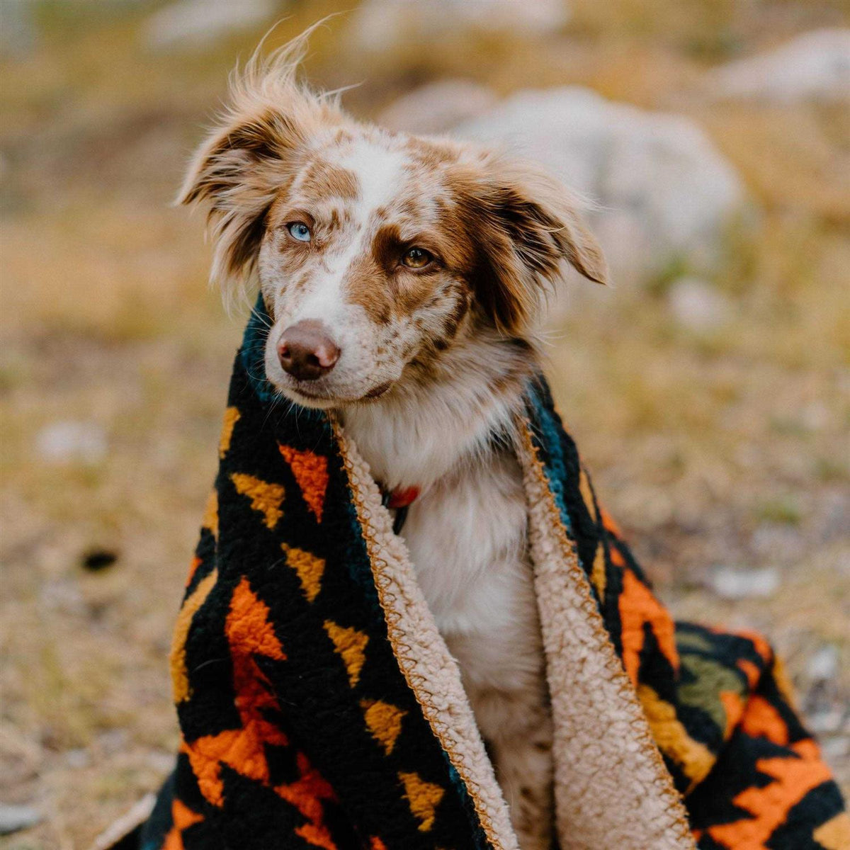 Sherpa Fleece Waterproof Blanket D2135