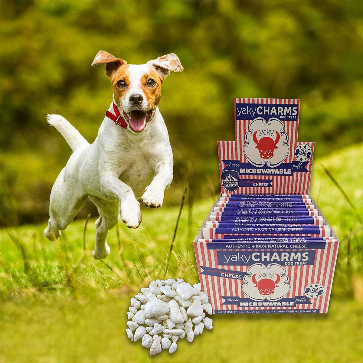 Pet Supplies S3742