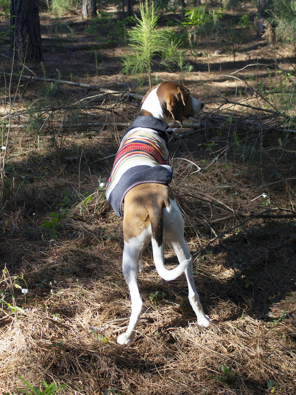 Small Dog Coat F821677