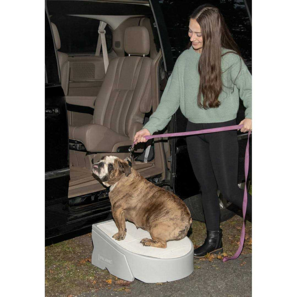 One Step Pet Step N8035
