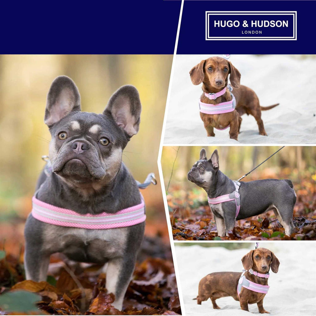 Dog Harness R571