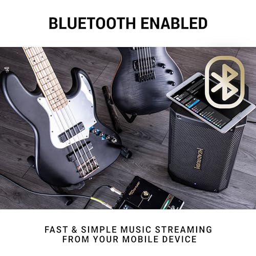 2500W 12" Full-Range Flat-Response Bluetooth Speaker M278984