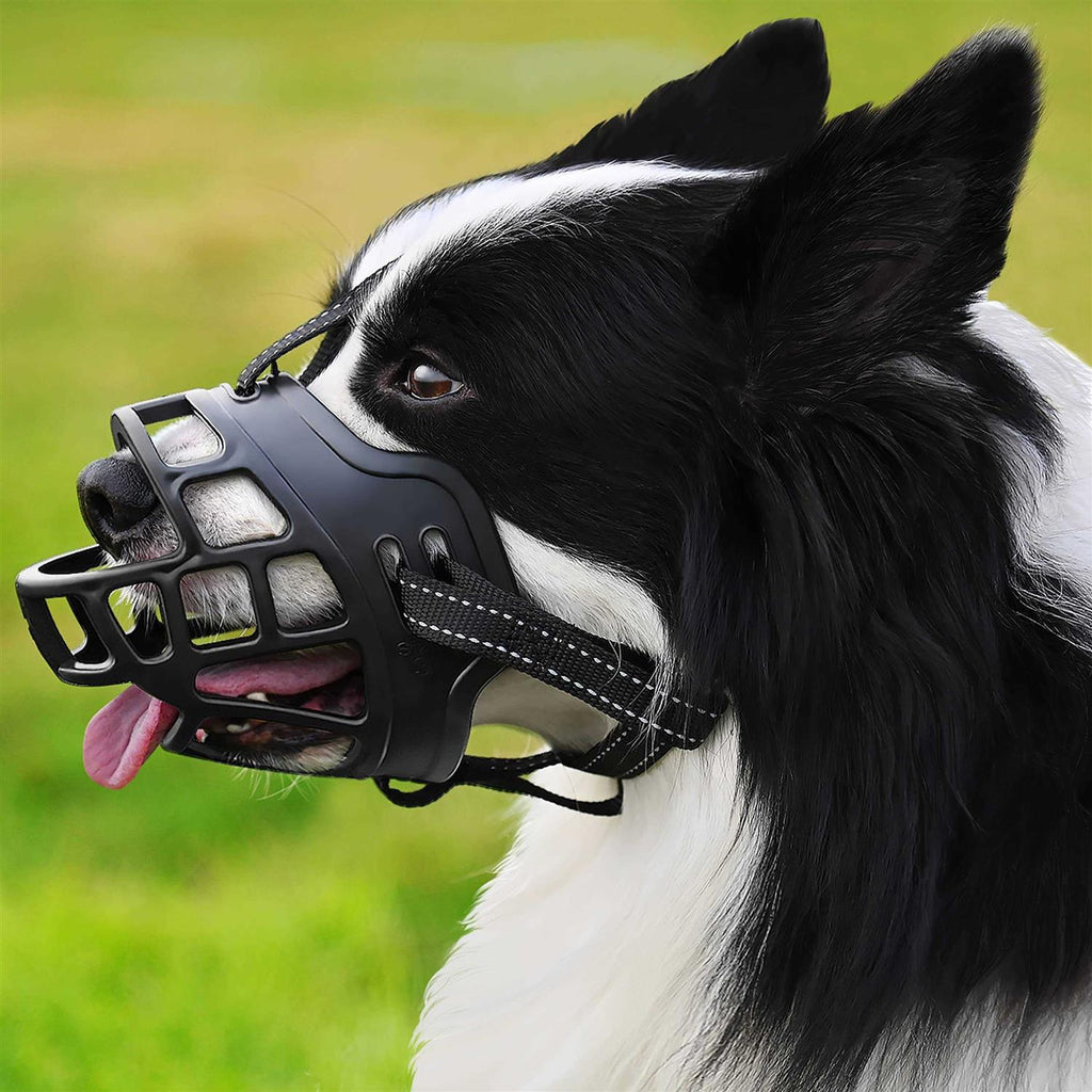 Dog Muzzle J2179
