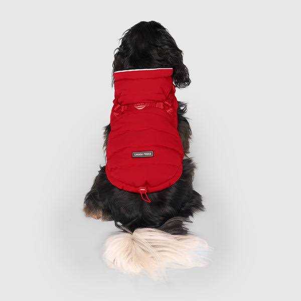 Black Puffer Harness T51131