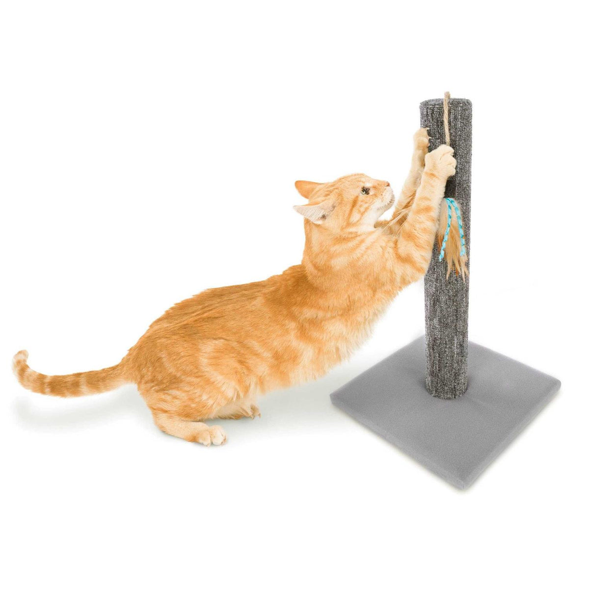 Cat Scratch Post with Feather Toy G566