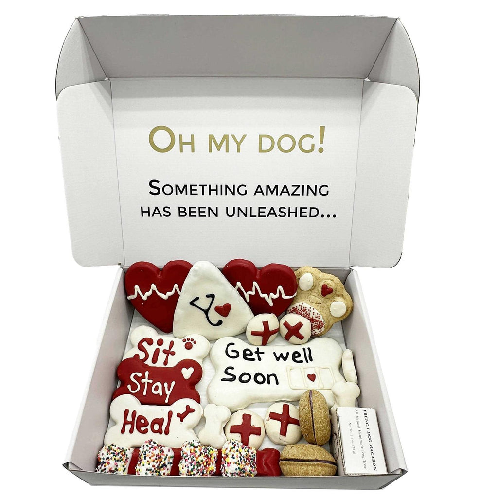 Dog Treats Gift Box X472
