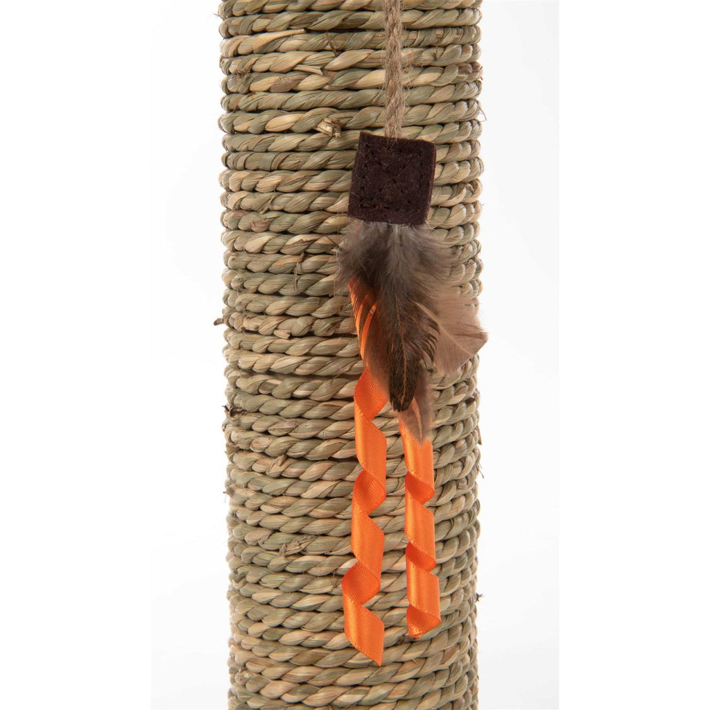 Cat Scratch Post with Feather Toy G566