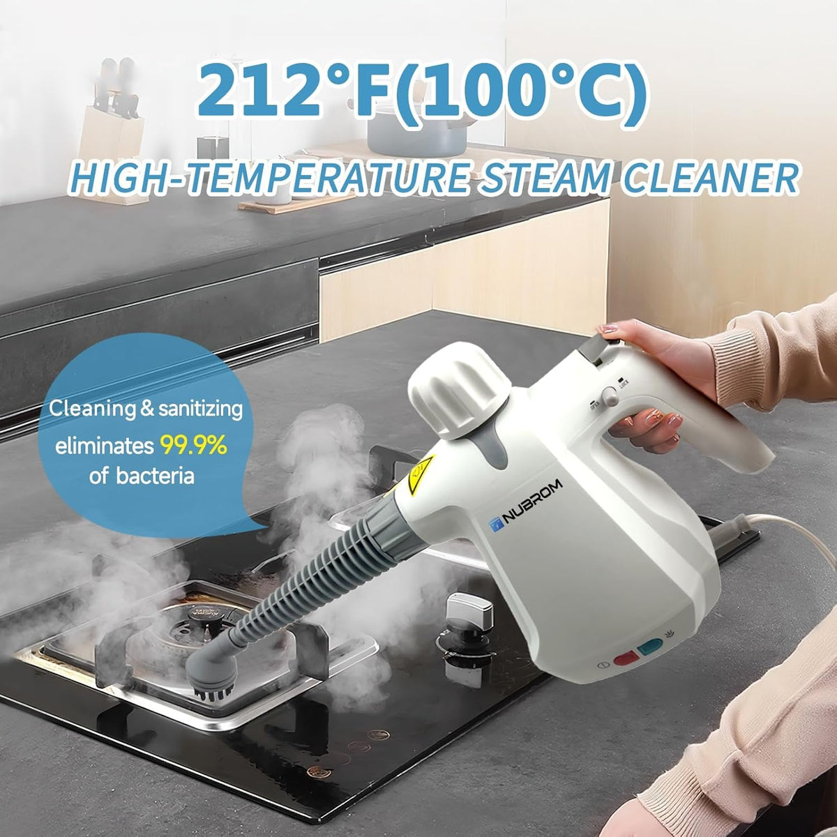 Pressurized Handheld Steam Cleaner with 10 pcs Accessories V28971