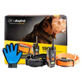 2 Dog Remote Training Collar R836193