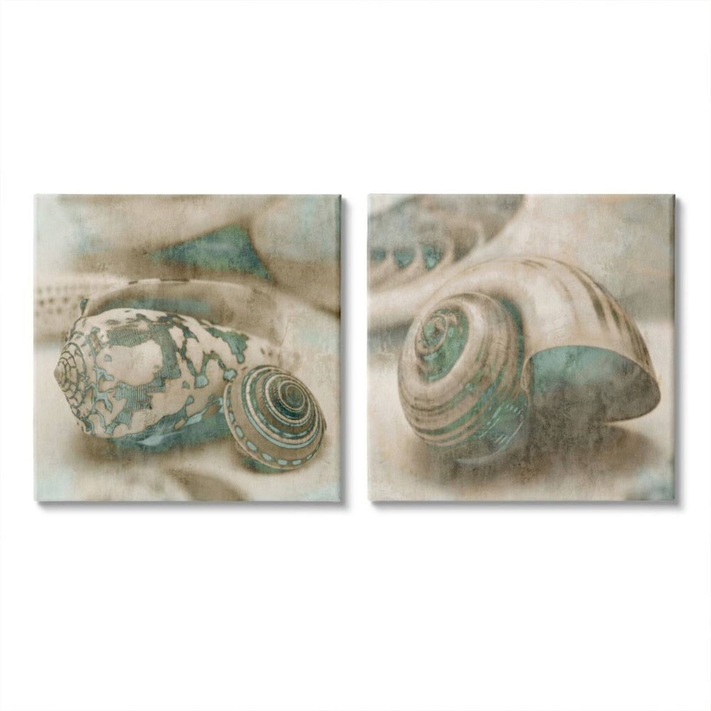 Distressed Sepia Shells with Turquoise Pattern Canvas O312825