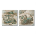 Distressed Sepia Shells with Turquoise Pattern Canvas O312825