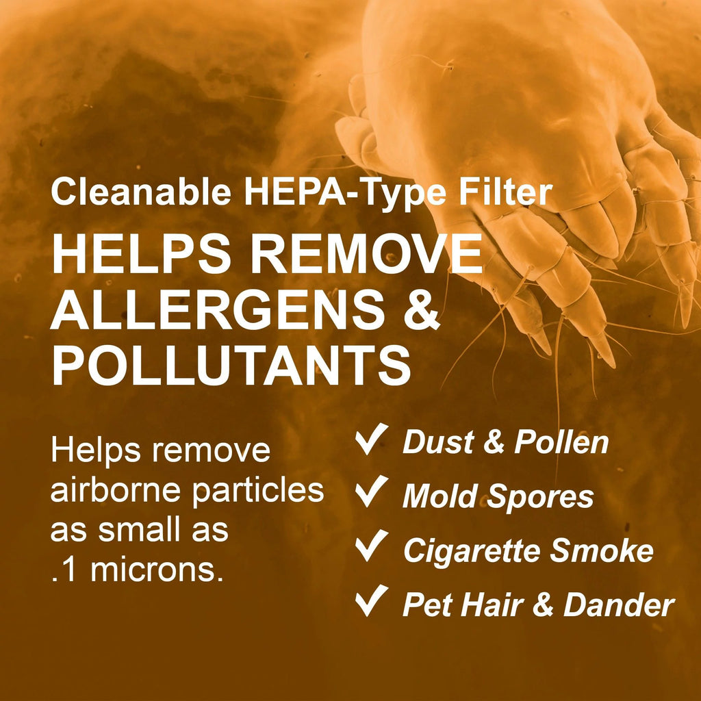 Black HEPA-Type Air Purifier V657