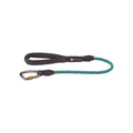 Leash C161