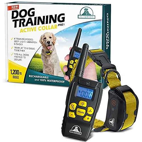 Dog Training Shock Collar with Remote G3684