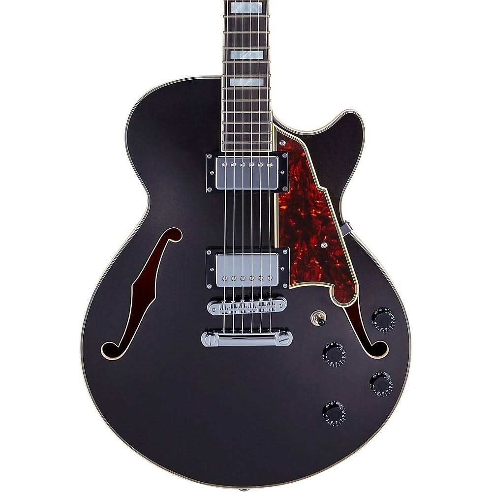 Black Flake Guitar with Stopbar Tailpiece C82700
