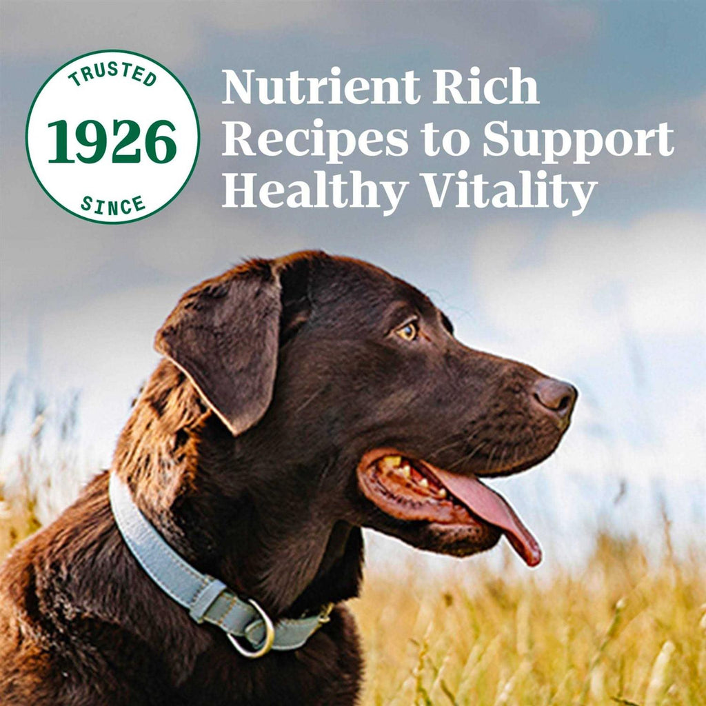 Chicken & Brown Rice Dry Dog Food G448