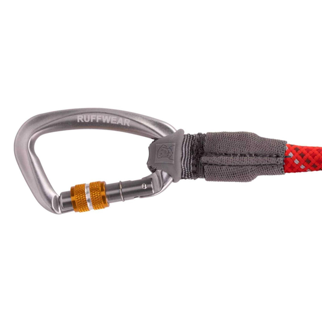 Leash C161