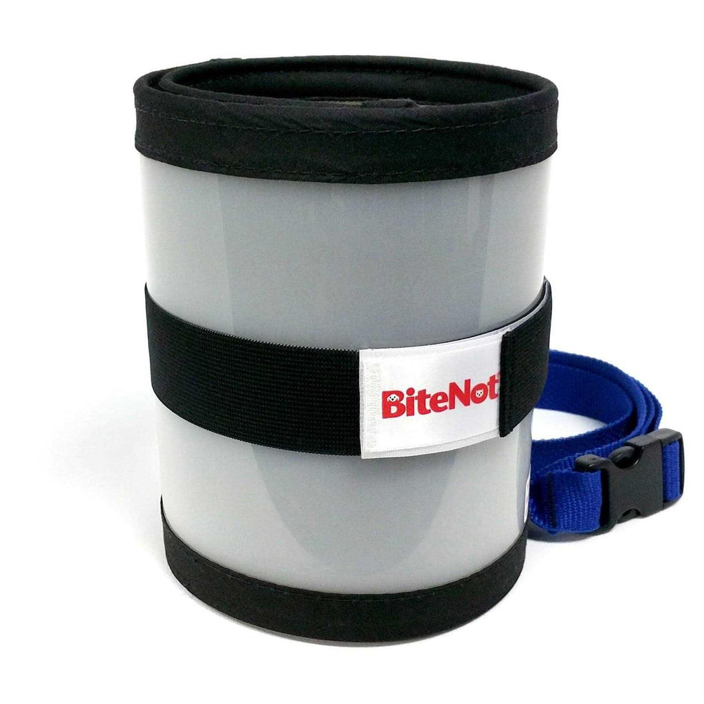 Pet Collar T642528