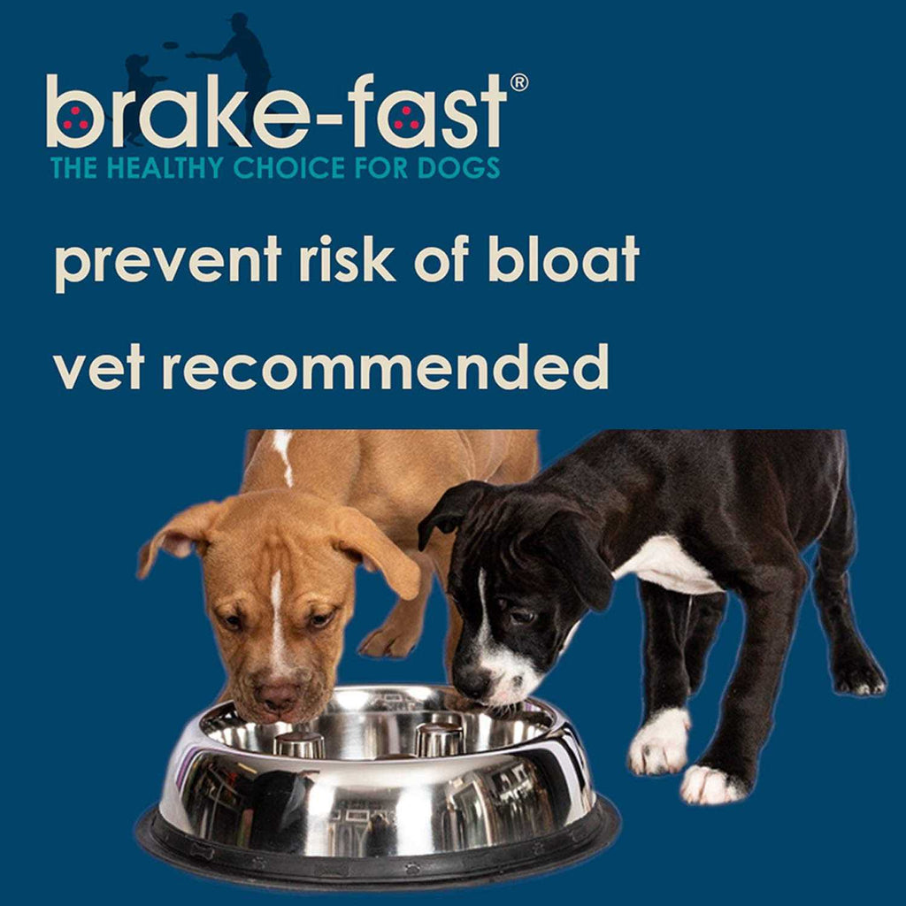 Stainless Steel Dog Bowl E904