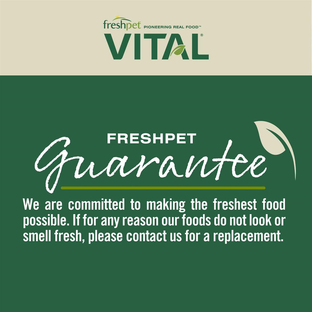 Grain Free Chicken Beef Pet Supplies T5993