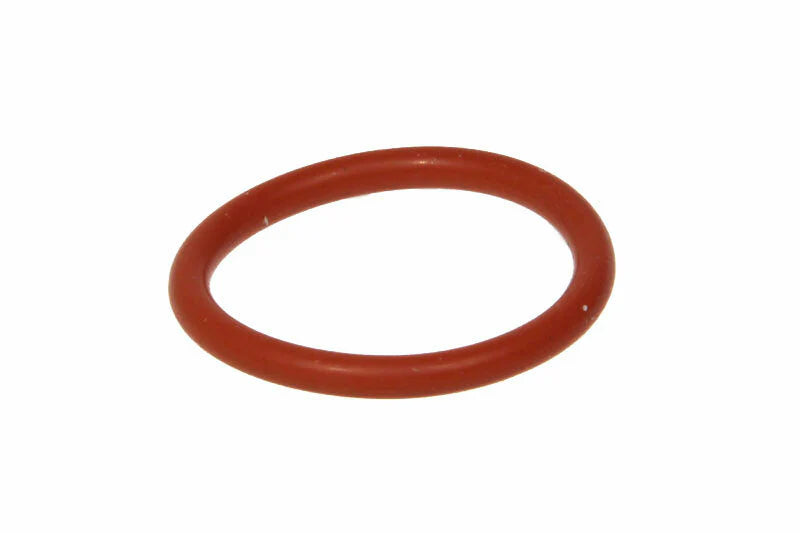 Large Orange O-Ring S14928
