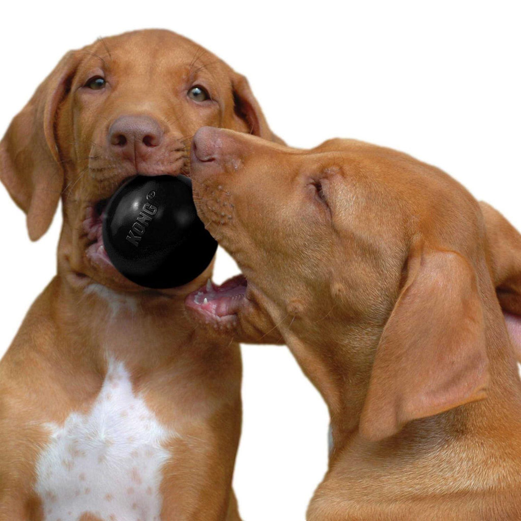 KONG Ball Dog Toy B36920