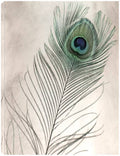 Canvas Art 24x32 O843768