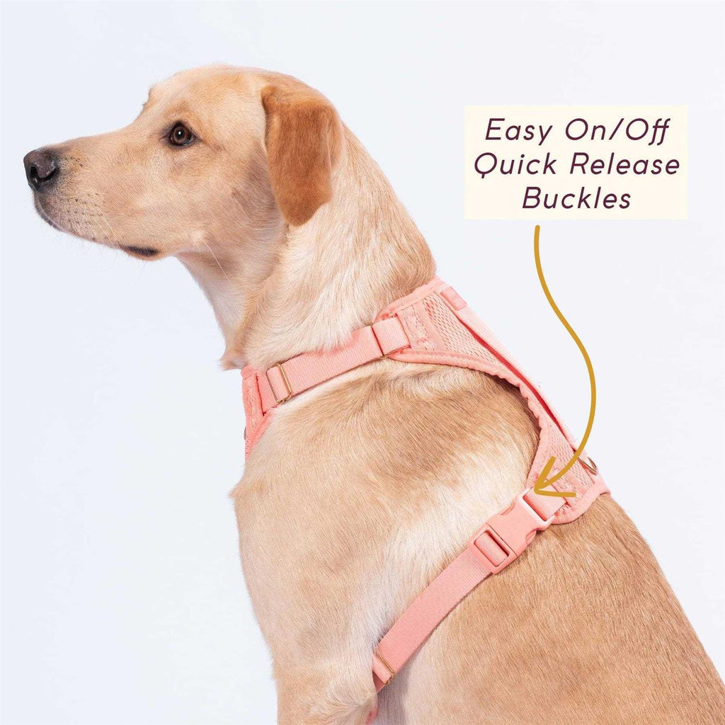 Pet Supplies X32947