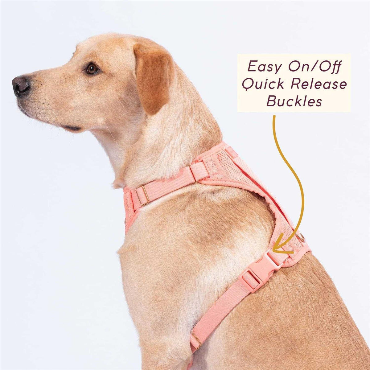 Pet Supplies X32947