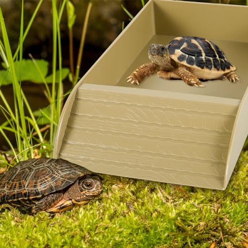 Reptile Water Bowl with Ramp and Basking Platform Z436483