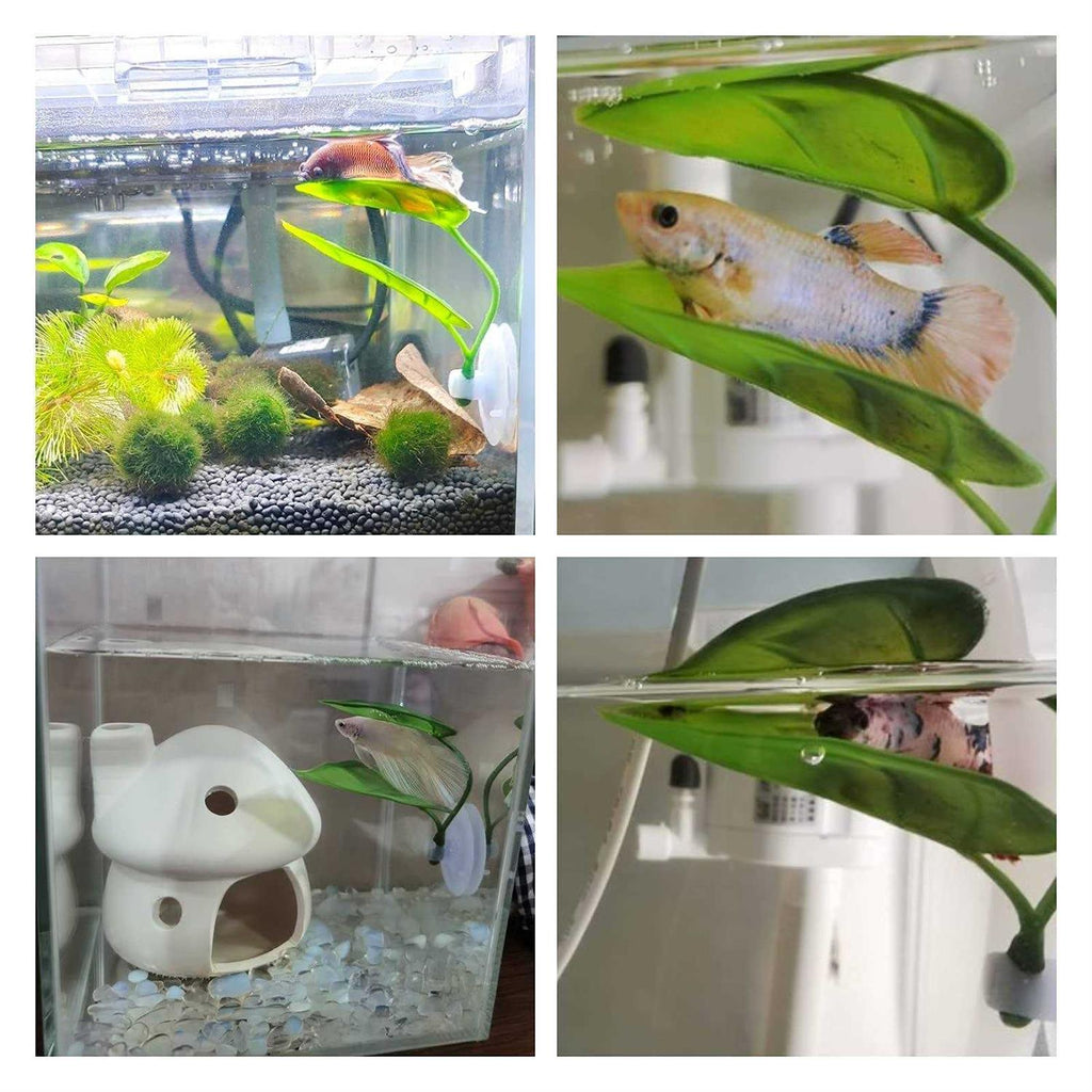 Betta Fish Leaf Pad Plastic Suction Cup T855