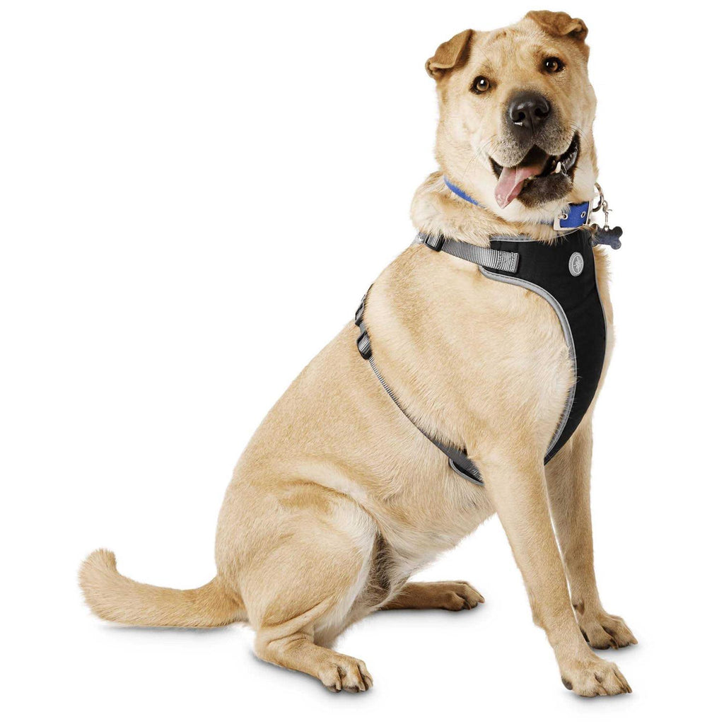Black Dog Harness F74157