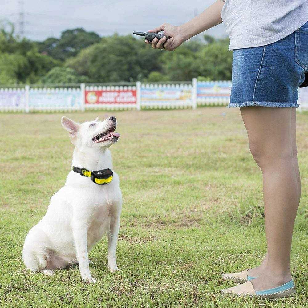 Dog Training Shock Collar with Remote G3684