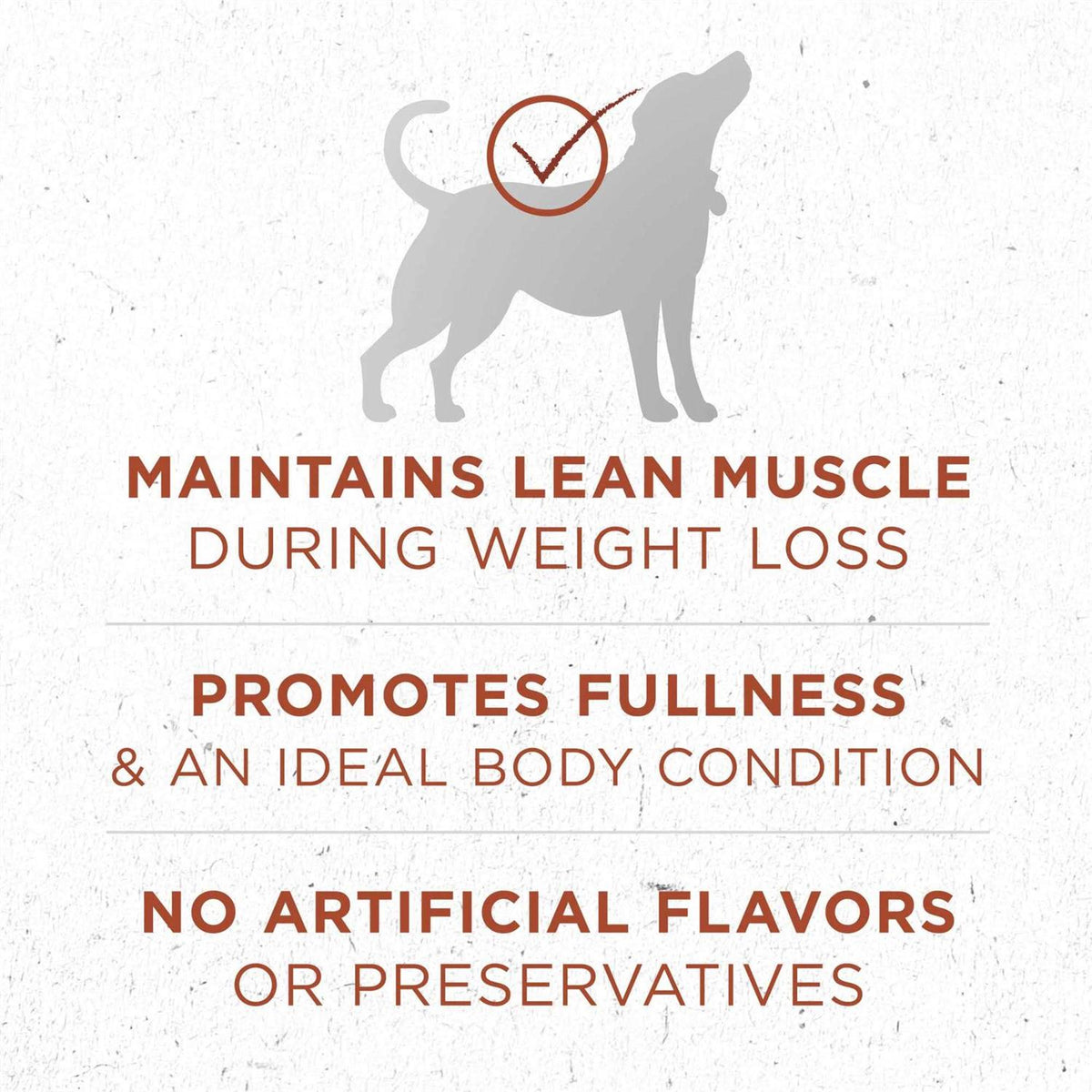 Healthy Weight High Protein Dry Dog Food M588225