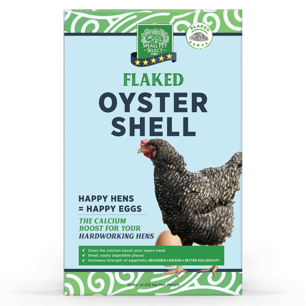 Flaked Oyster and Seashell M676761