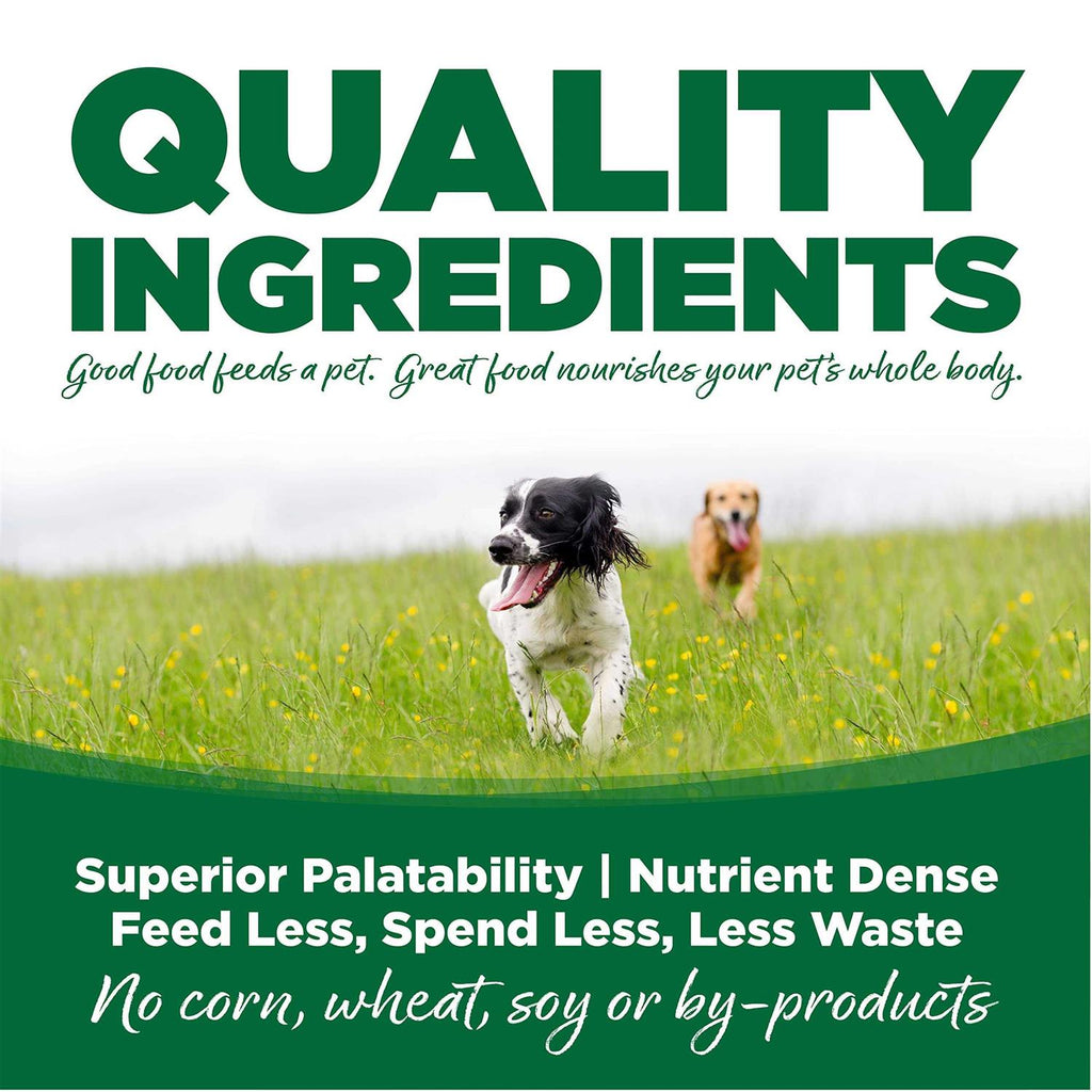 Turkey & Rice Dry Dog Food B720