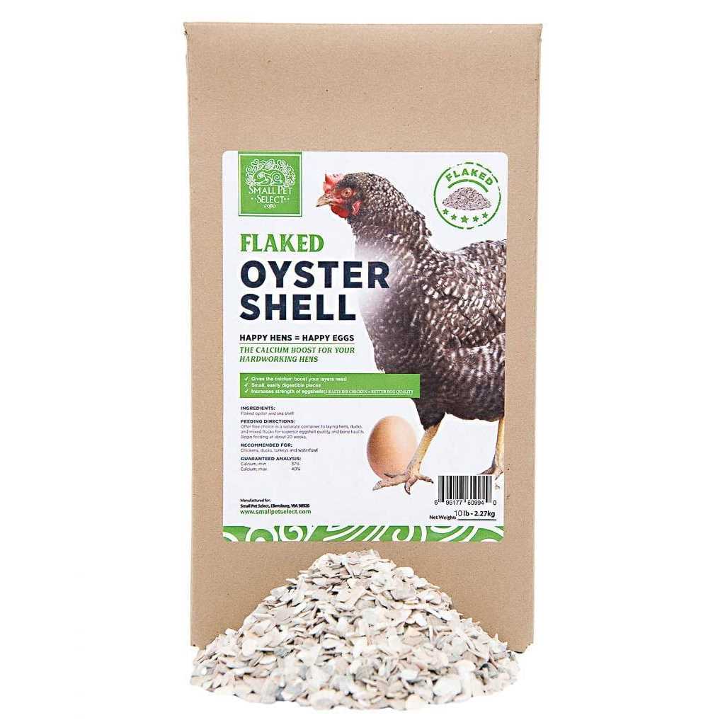 Flaked Oyster and Seashell M676761