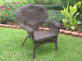 Resin Wicker Patio Chairs Set of 2 R8146